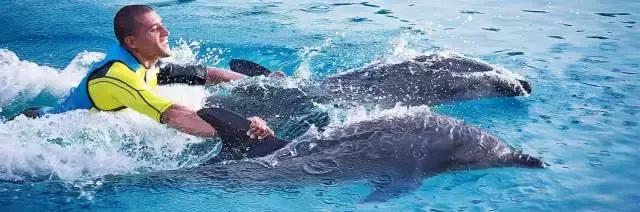 迪拜旅游攻略最低价,迪拜旅游攻略省钱