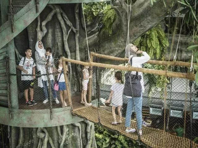 迪拜旅游攻略最低价,迪拜旅游攻略省钱