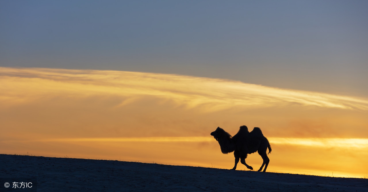 小学生哲理小故事感悟300字,25个简短哲理小故事及感悟