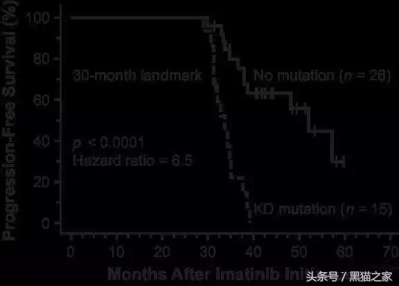 印度仿制白血病特效药,专治疗白血病的印度仿制药