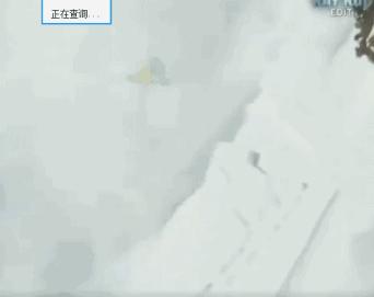 内马尔滚、毒奶榜……世界杯最新梗了解下！网友恶搞可以说很凶残了