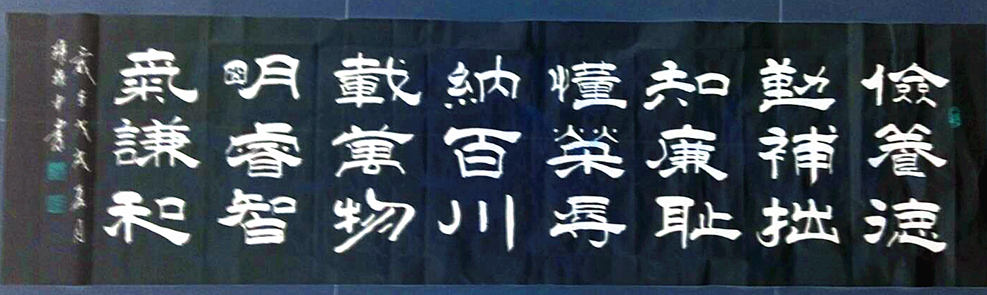 邵长华武术培训视频,邵长华武术教学