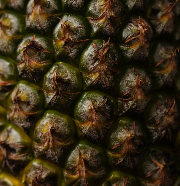 上海半岛酒店米其林月饼7月12日上线售卖，打折、优惠全攻略！