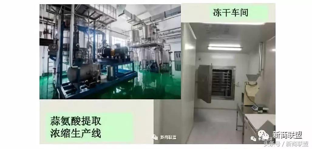 塞尔维亚人口,塞外独行侠