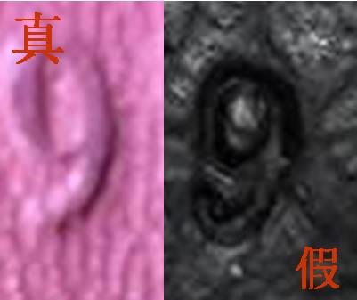 几千块钱能买奢侈品包吗,奢侈品怎么买到真品包呢