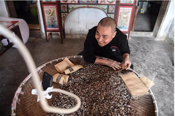 互联网农业四个领域值得布局,未来5年互联网农业发展