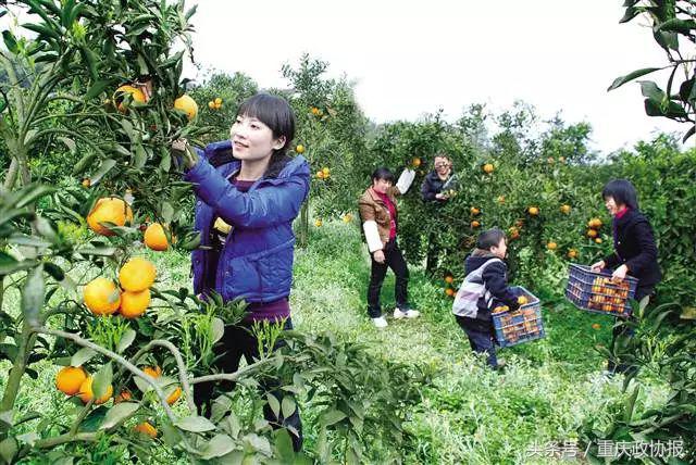 江津被称为硒都吗,江津硒玉遍布哪些地方