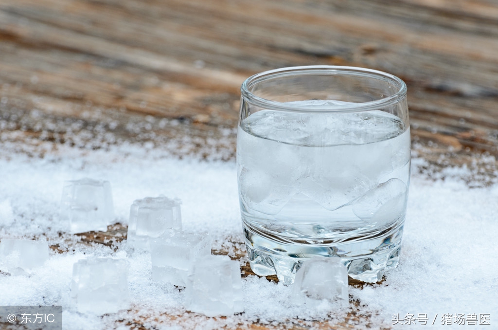 大猪反胃呕吐是什么原因,猪发烧呕吐是什么原因