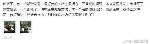 淘宝上评论的都是假的吗,淘宝假评论如何识别