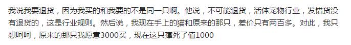 千万不要在网上买宠物,在网上买宠物被坑了怎么办