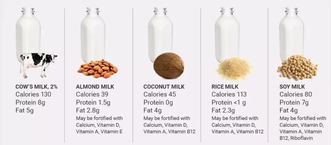 也许是时候给风头正盛的代乳产品浇一盆冷水清醒一下了