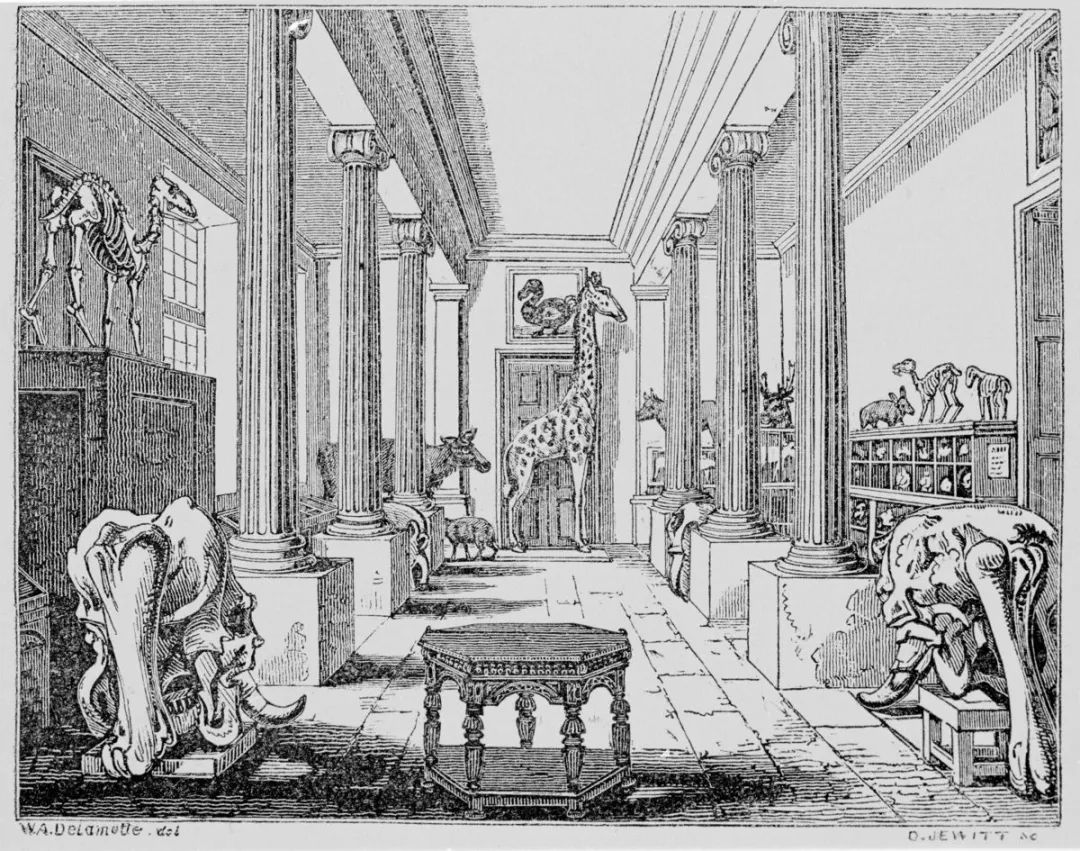 21世纪美术教学怎么样,21世纪美术馆