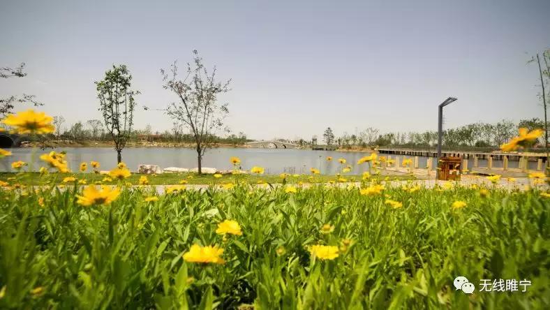 睢宁湿地公园游泳,睢宁室内公园水上乐园