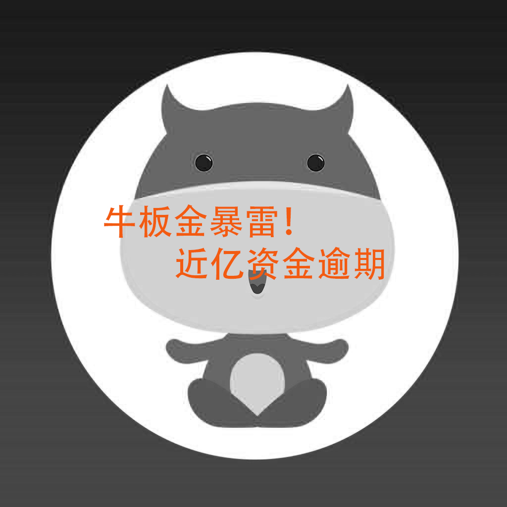 牛板金最新进展追回多少资金,牛板金立案后多久兑付