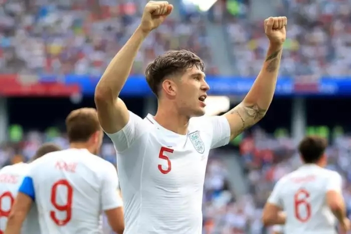 养一个约克夏要花多少钱,养一只约克夏的成本