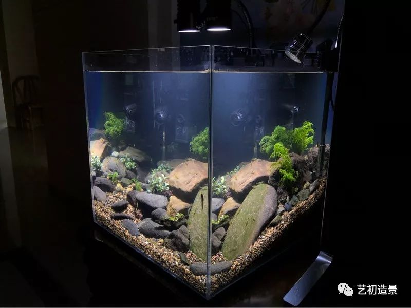 虾虎缸造景要什么过滤器,虾虎缸用什么石头造景好