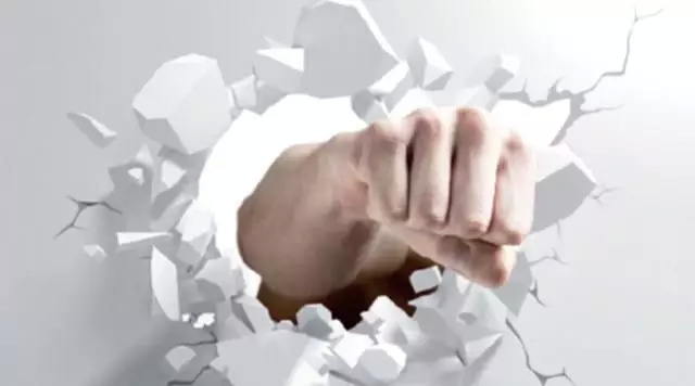 网红茶为什么那么火,网红老虎茶