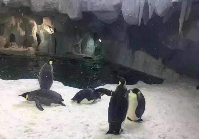 7月8月机票便宜又凉快的地方,六月份去哪里机票便宜又好玩