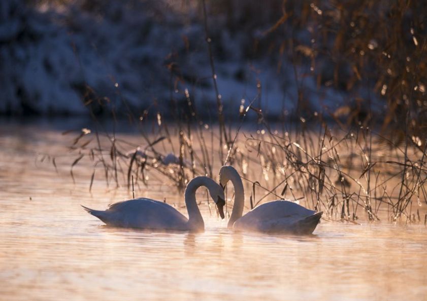 「诗词原创」褚乃艳｜莫道君心无所住红尘洗却看沉浮