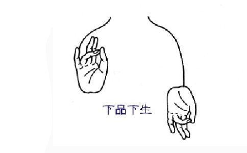 阿弥陀佛手印符号,阿弥陀佛手印用灌顶吗