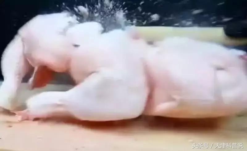 液氮泼在人脸上怎么办,作死挑战液氮泼脸