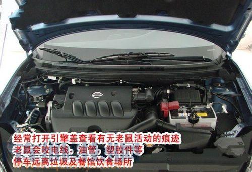 汽车防老鼠什么办法最好,最简单的汽车机舱驱鼠方法