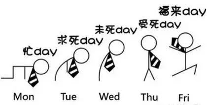 不信你不来「知音号免费福利」