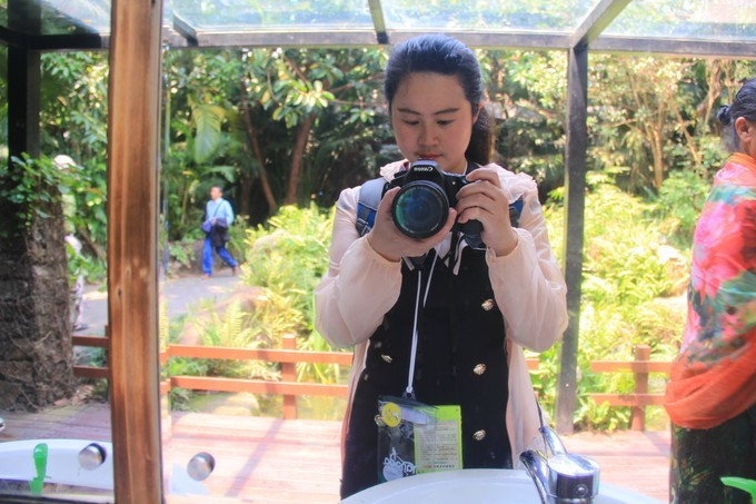 恋上这片海,一个人绚丽多彩的三亚自由行