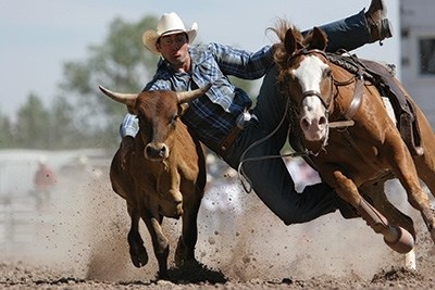 美国总统耶鲁大学,美国总统就读的大学