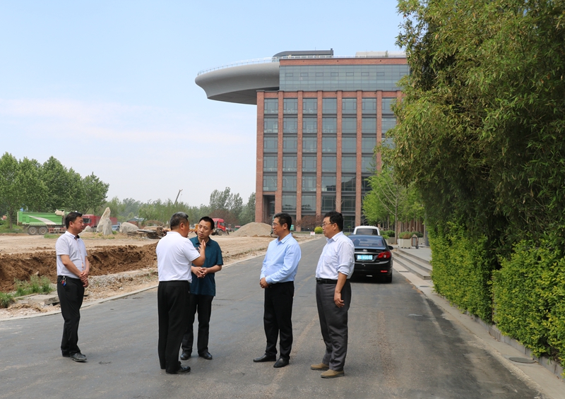 河北宁晋县的发展历史,宁晋三个世界之最