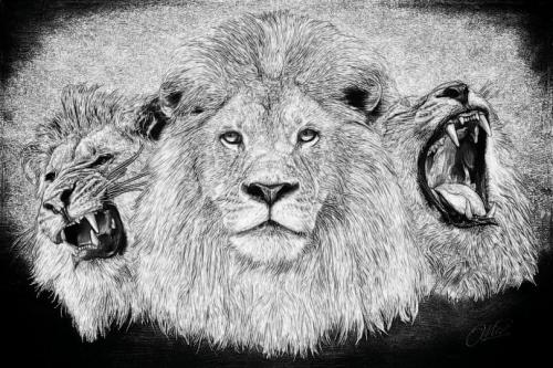 匡姐｜故事改结尾了——续球队昵称的故事