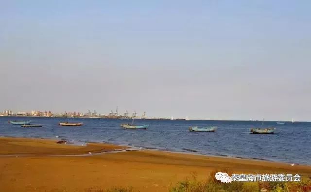 秦皇岛周边口碑最好的海水浴场,秦皇岛哪个沙滩浴场最干净好玩