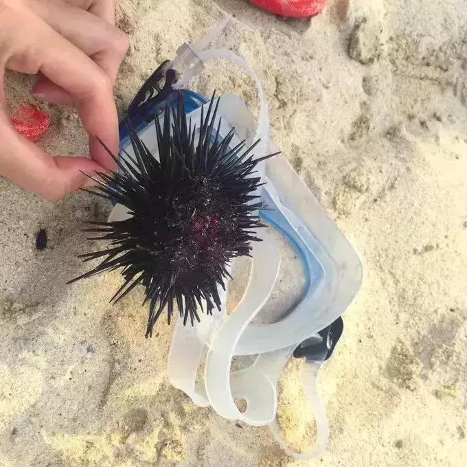 东莞游玩排名第一的海岛,东莞海岛观光旅游