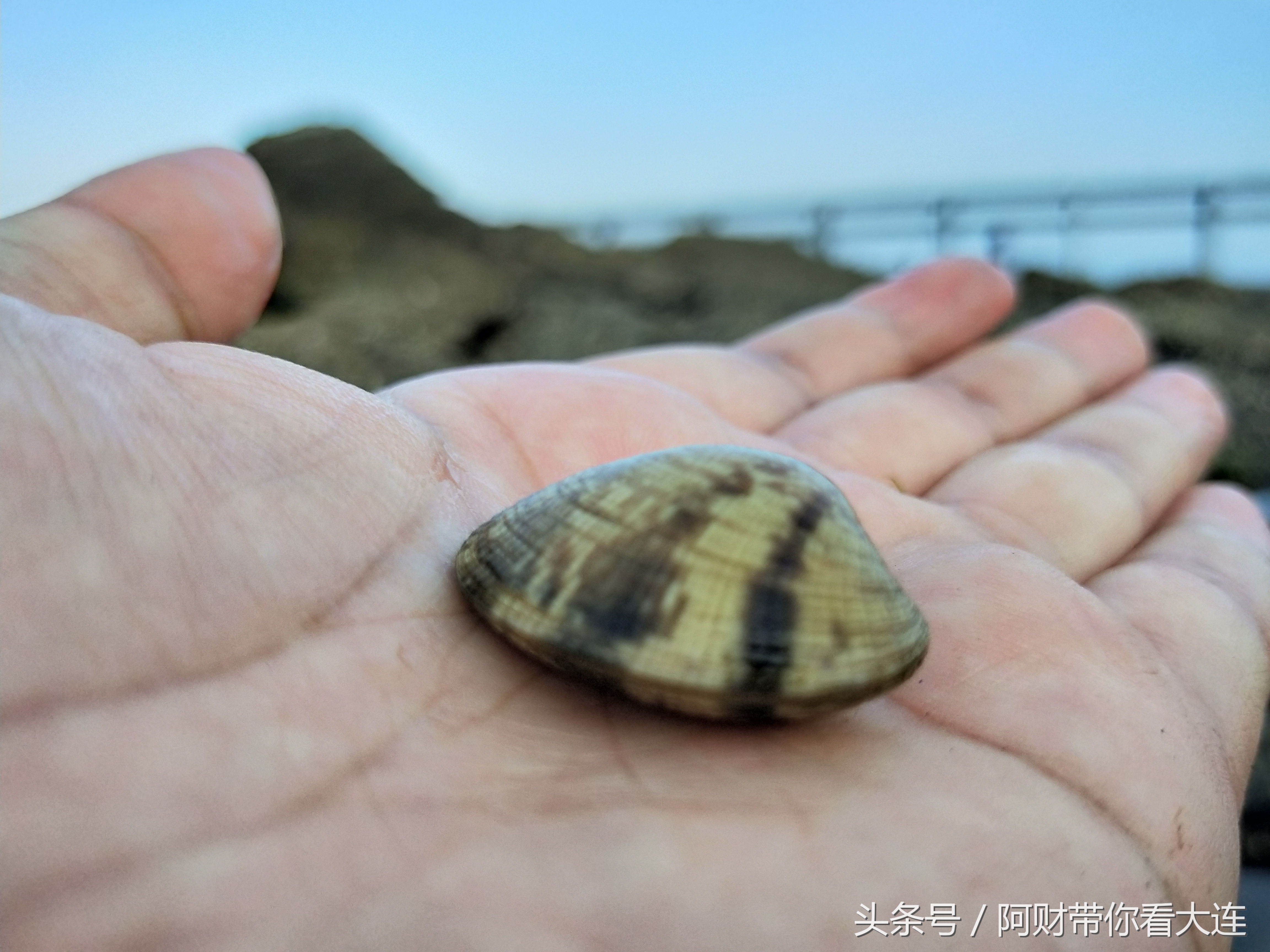 在大连想看海去哪,想去大连赶海去哪里