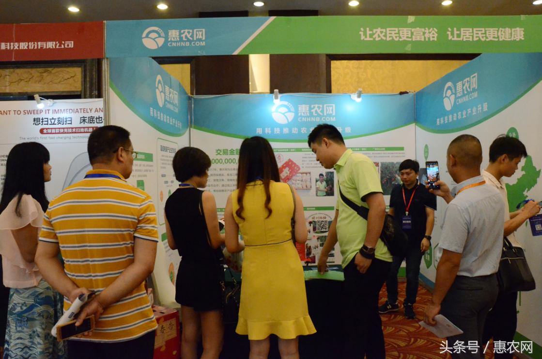 惠农网电商模式,农业电商惠农网