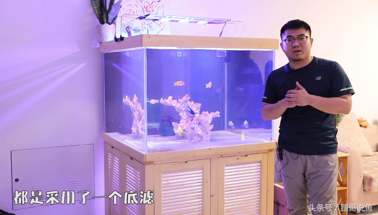 新手养鱼12个基础知识,建议养鱼新手入门养的鱼