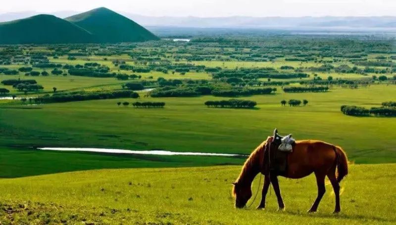 告诉你内蒙古不包邮的原因,为什么内蒙古大部分不包邮呢