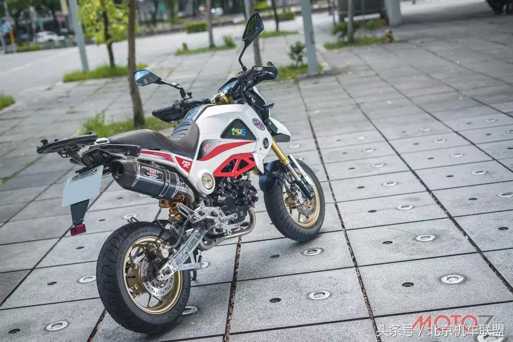 混血小猴子的视频,混血宝宝小猴子