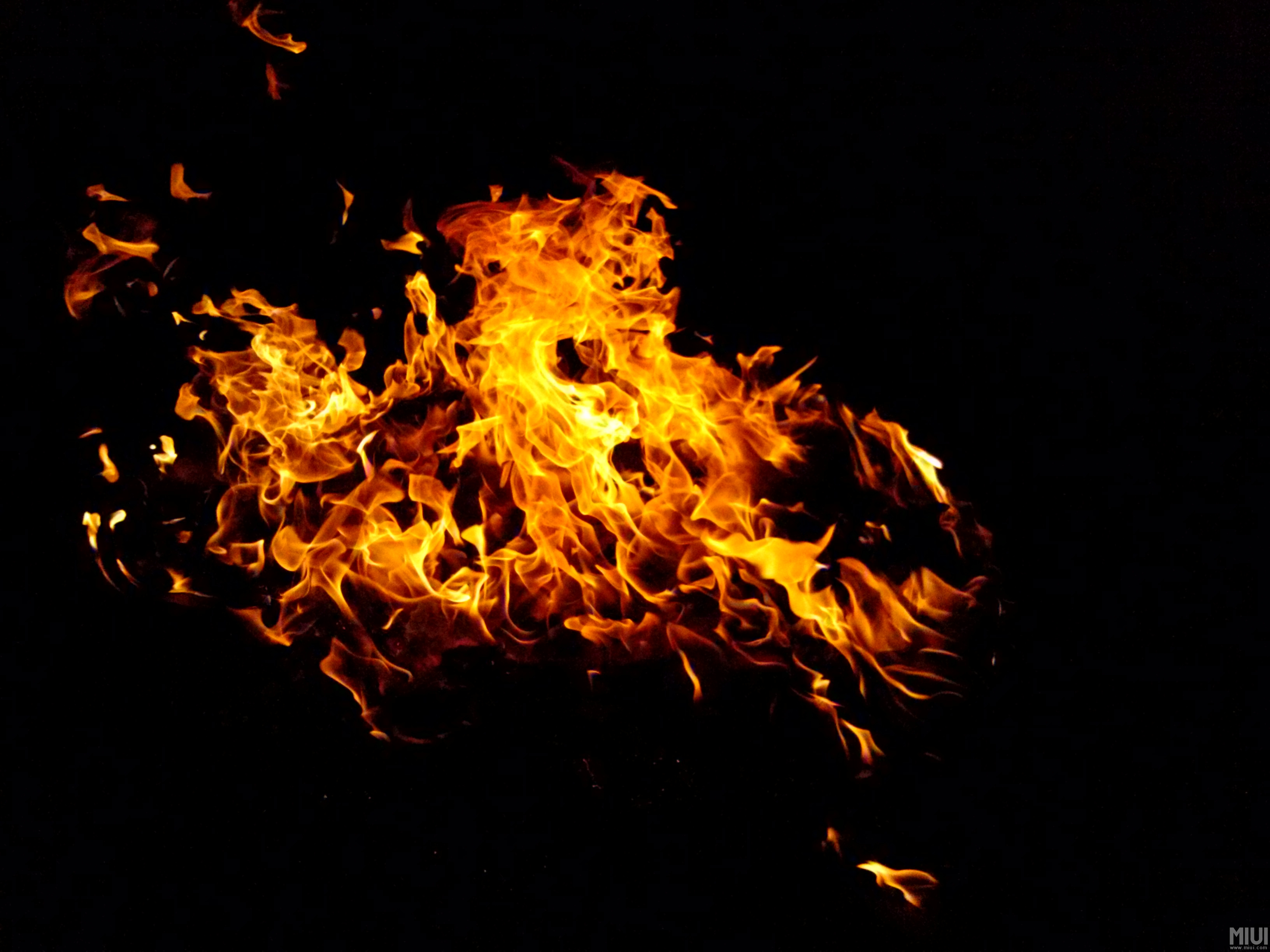 四柱对应的事业宫,四柱属木适合做什么行业