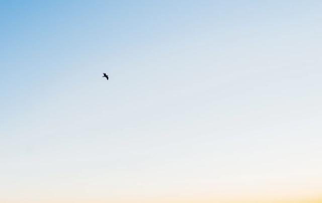 高招志愿报名后第五天开始,高招专科志愿今起填报