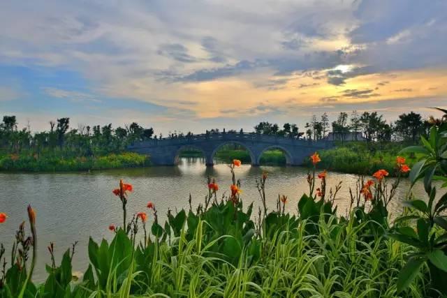 东莞哪个镇最富裕,东莞哪个片区最富