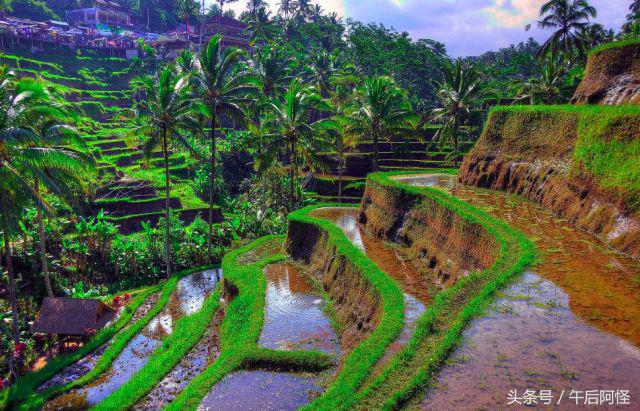 巴厘岛自由行15天,巴厘岛9天攻略