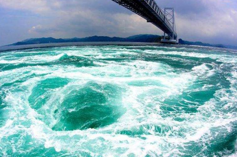 《日在校园》“李小狼”？ACG作品里哪些神翻译你听过没