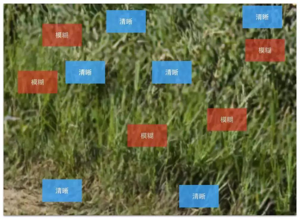 三摄手机和四摄手机区别,三摄手机和四摄手机有什么区别