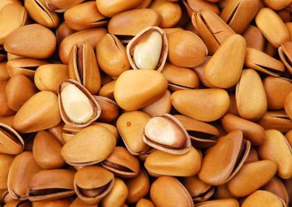 松子开口方法视频教程,松子如何开口最佳方法