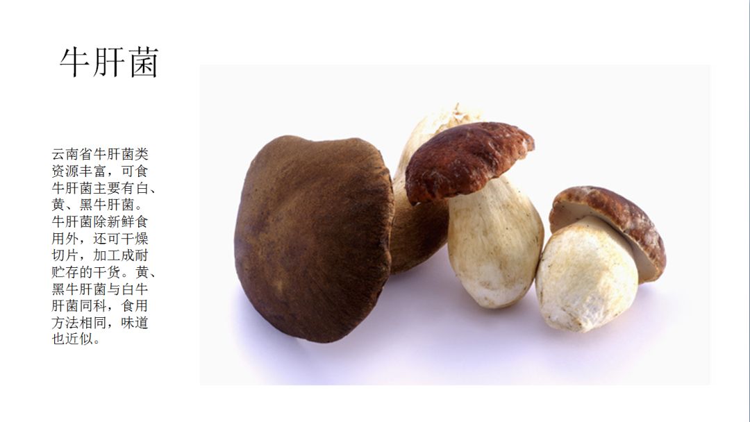 云南又到“生死存亡”季！为啥年年有人冒死吃这货？看过来！