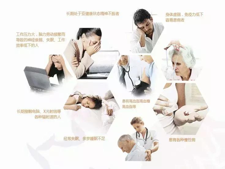 灵芝提高新陈代谢,灵芝影响基础代谢率吗