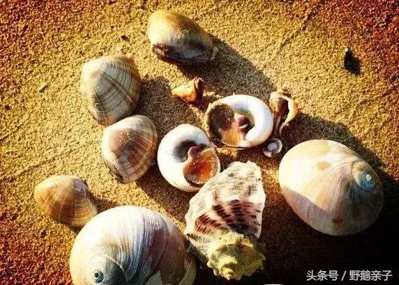 去东戴河玩好不好,现在去东戴河玩有什么危险吗