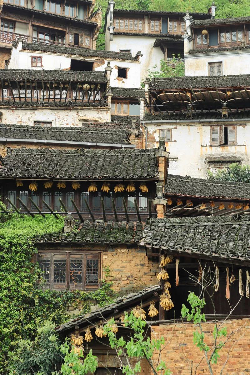 10月篁岭一日游最佳路线,篁岭旅游摄影攻略