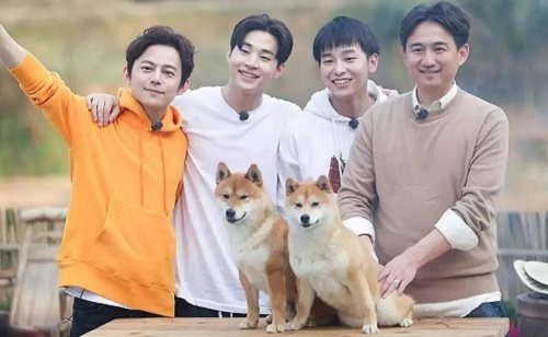 向往的生活是平凡且诗意的田园梦,向往的生活追逐诗和远方